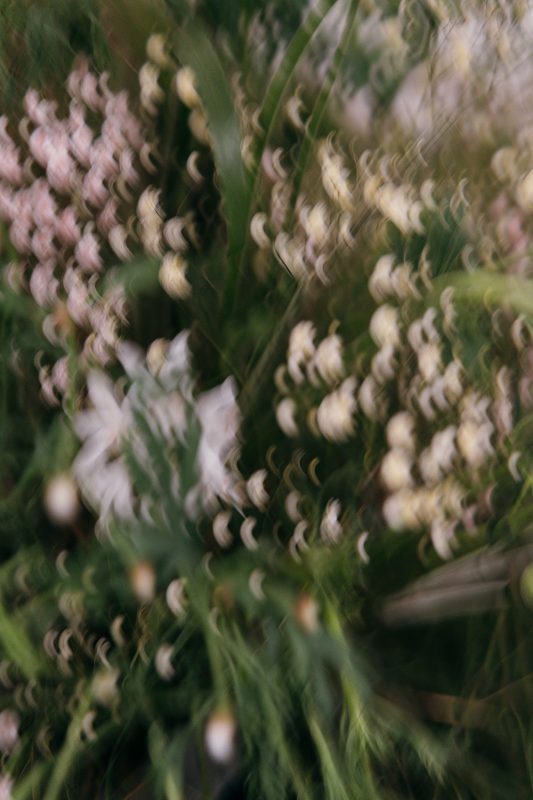 spring&summer 2026 dear my meadow look 12